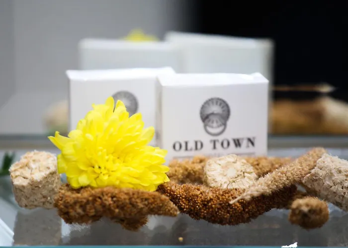 Hotel Old Town Sarajevo